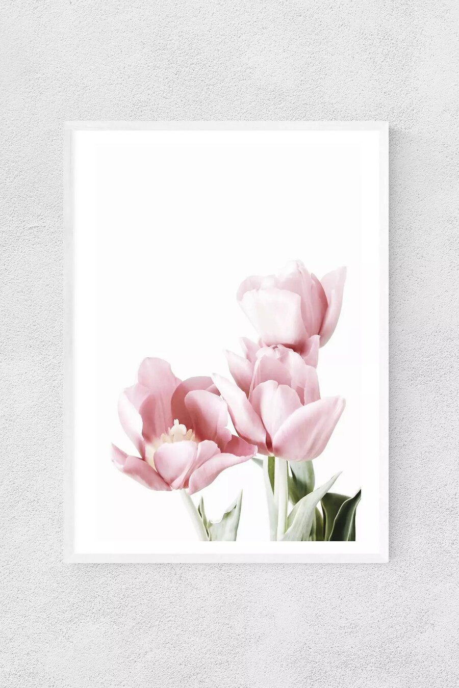tulpen-wandkunst